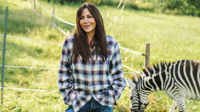 Imagen de Una cebra en el equipaje - 3