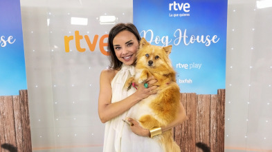 Imagen de Dog House (T2) - 3