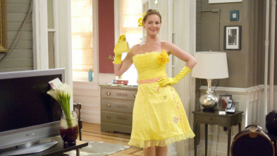 Imagen de 27 vestidos - 4