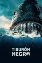Imagen de Tiburón negro - 4