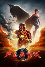 Imagen de Flash - 2