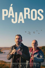 Imagen de Pájaros - 2