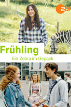 Imagen de Una cebra en el equipaje - 2