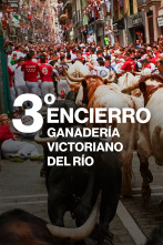 Imagen de Vive San Fermín (T2026): Ep.4 - 12