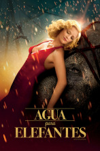 Imagen de Agua para elefantes - 2