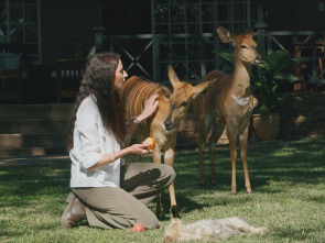 Imagen de Dra. Fabiola Jones (T1): Soy un superviviente - 1