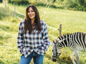 Imagen de Una cebra en el equipaje - 1