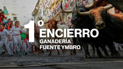 Imagen de Vive San Fermín (T2026): Ep.2 - 9