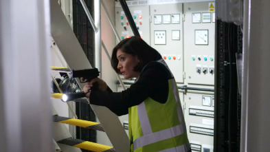 Imagen de A estiba - 3