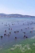 Imagen de Tal como somos - 2