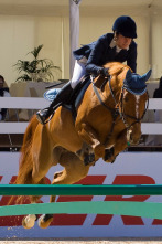 Imagen de Hípica - 2
