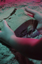 Imagen de Versogramas - 2