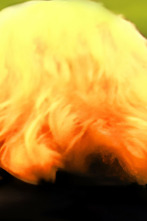 Imagen de Señora de... - 2