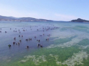 Imagen de Tal como somos - 1