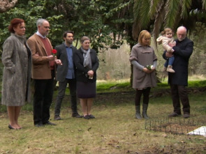 Imagen de Todos os santos - 1