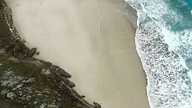 Imagen de Galicia bonita (T1) - 3
