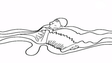 Imagen de Alalá - 3