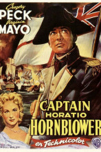 Imagen de O fidalgo dos mares - 2