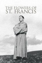 Imagen de Francisco, xograr de deus - 2