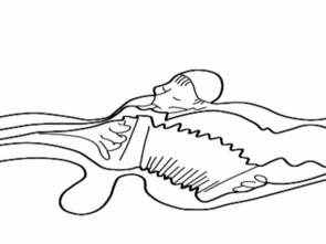 Imagen de Alalá - 1