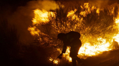 Imagen de O que arde - 3