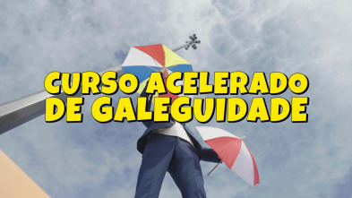 Curso acelerado de galeguidade