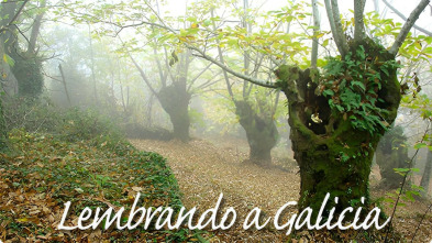 Imagen de Lembrando a Galicia - 3