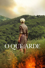 Imagen de O que arde - 2