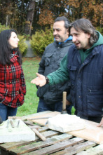 Imagen de Onde vai a xente - 2