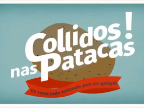 Imagen de Collidos nas patacas - 1