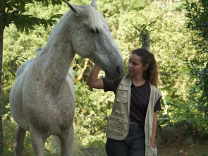 Imagen de Somos animais - 1