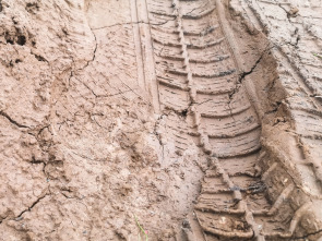 Imagen de Programas Extreme E (2023): Head - To - Head Finals - 1