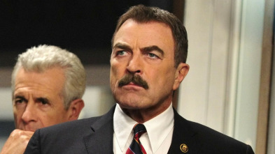 Imagen de Blue Bloods... (T7): Ep.18 Grandiosa despedida policial - 3