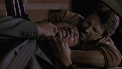 Imagen de Arma perfecta - 3