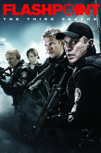 Imagen de Flashpoint (T3) - 2