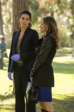 Imagen de Rizzoli & Isles (T5): Ep.2 Adiós - 2