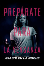 Imagen de Asalto en la noche - 2