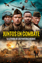 Imagen de Juntos en combate - 2