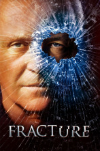 Imagen de Fracture - 2