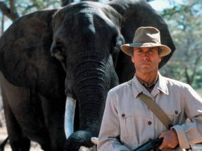 Imagen de Cazador blanco, corazón negro - 1