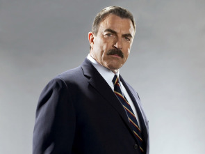 Imagen de Blue Bloods... (T1): Ep.19 Comportamiento modelo - 1