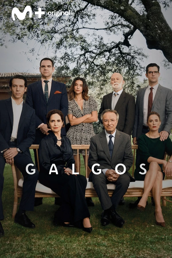 Galgos. T(T1). Galgos (T1)