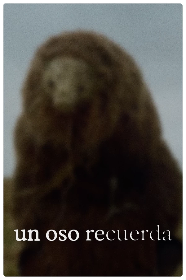 Un oso recuerda