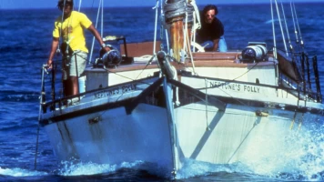 Tiburón, la venganza