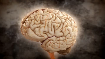 Brain Games