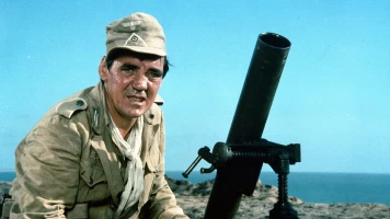 Comando en el desierto