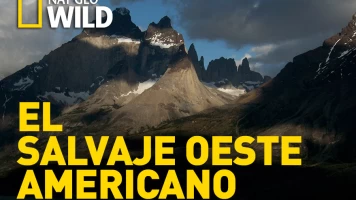 Los últimos paraísos