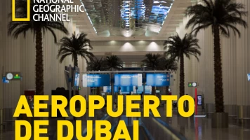 Aeropuerto de Dubai