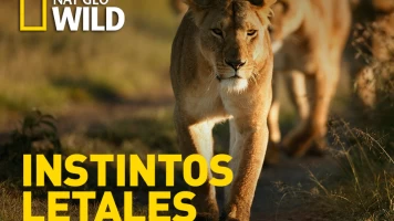 Instintos letales