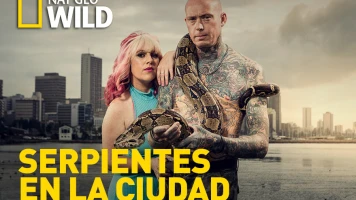 Serpientes en la ciudad